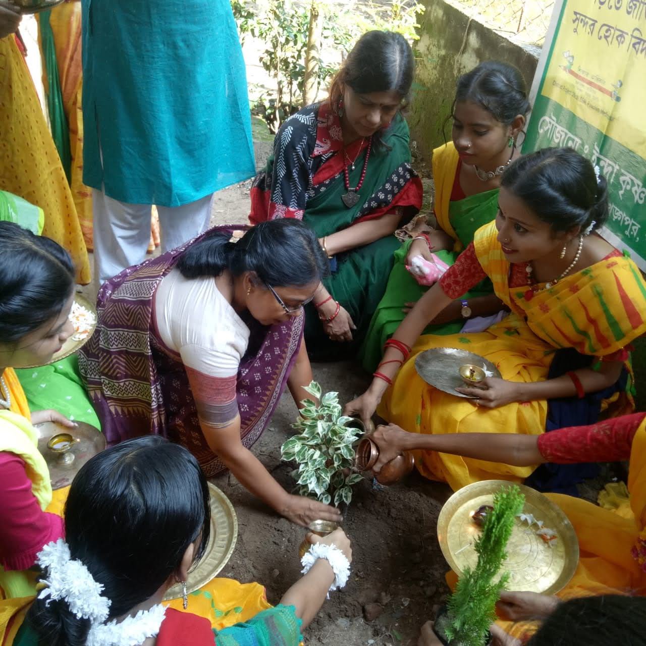 Tree Plantation